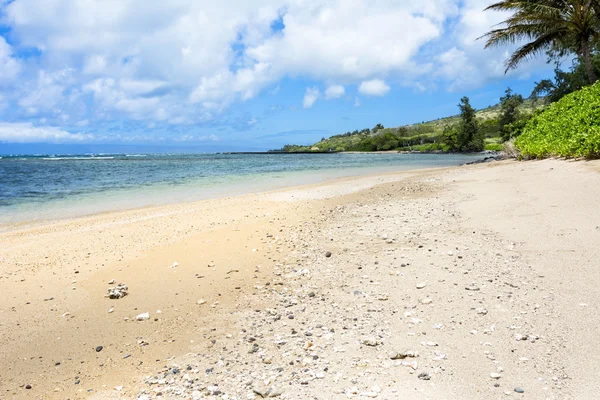 Spiaggia tropicale sabbiosa — Foto Stock