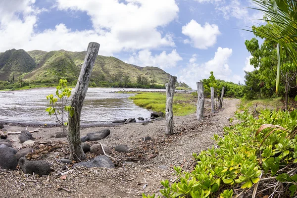 Sentier de randonnée le long de la plage hawaïenne — Photo