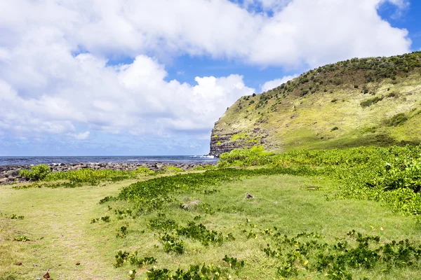 Spiaggia tropicale erbosa alle Hawaii — Foto Stock