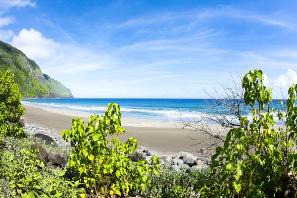 Trópusi tengerparton, Hawaii — Stock Fotó