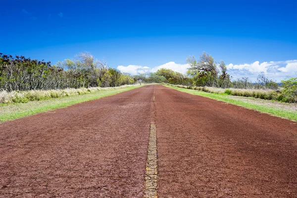 赤い国の道路 — ストック写真