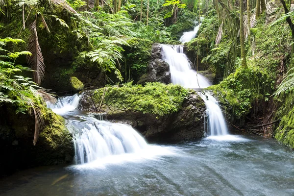 Chute d'eau Hawaiin — Photo