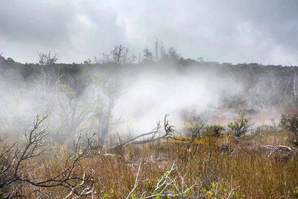 Ventilateurs de vapeur volcaniques — Photo