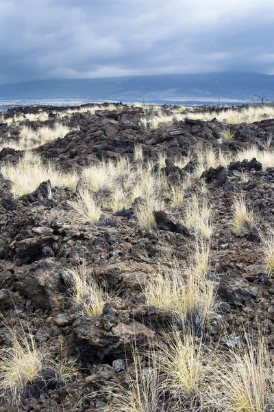Fluxo de lava seca — Fotografia de Stock