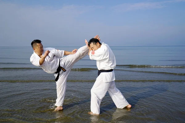 Dövüş sanatları kişi eğitim karate Telifsiz Stok Imajlar