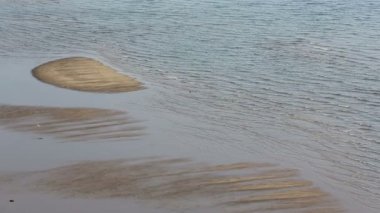 kuş mudflat