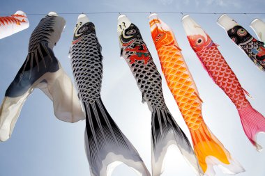 Japonca sazan uçurtma flama