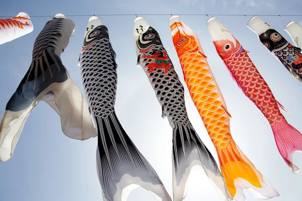 Japanese carp kite streamer — Stock Photo, Image