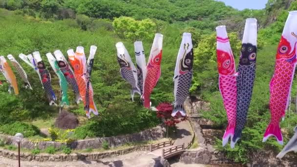 Japanse karper kite streamer decoratie — Stockvideo