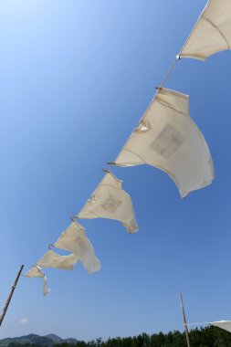 Clothesline üzerinde asılı beyaz t-shirt