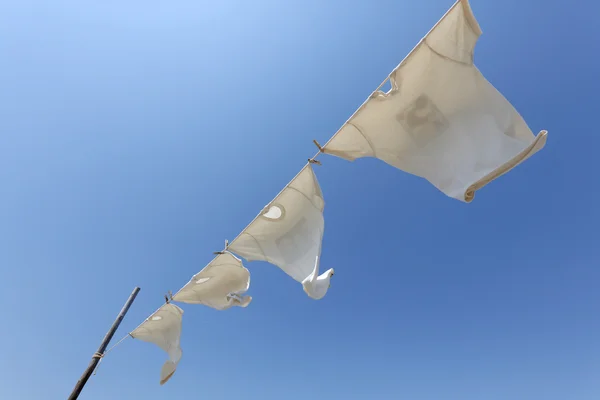 White t-shirts hanging on the clothesline — Stock Photo, Image