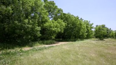 kulakları yeşil çimen 