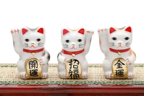 Gato Sorte Japonês Fundo Branco Palavra Japonesa Desta Fotografia Significa — Fotografia de Stock