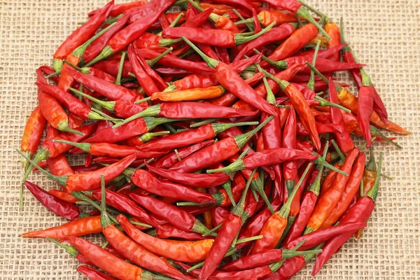 Gedroogde Rode Chili Peperplanten Hennepkleding — Stockfoto