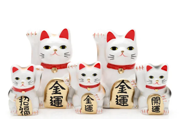 Gato Sorte Japonês Fundo Branco Palavra Japonesa Desta Fotografia Significa — Fotografia de Stock