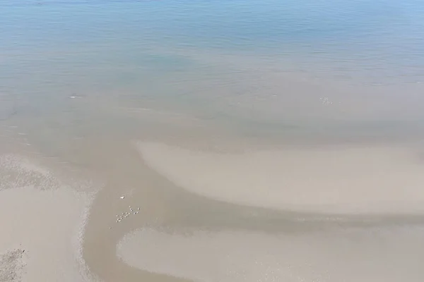 Luchtfoto Van Drone Van Mooi Zandstrand Met Meeuw — Stockfoto