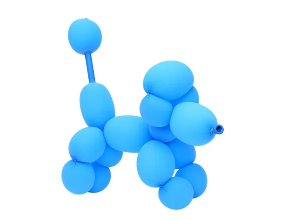 Ballon animal caniche — Photo