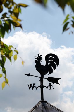 horoz işareti Rüzgar