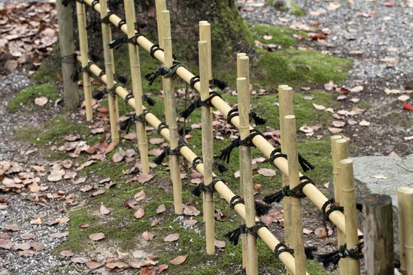 Bamboo fence — Stock Photo, Image