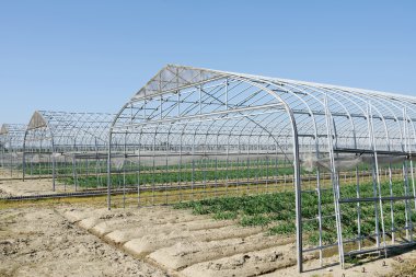 Tarım tarım için bina