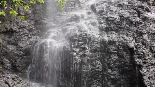 滝 — ストック動画