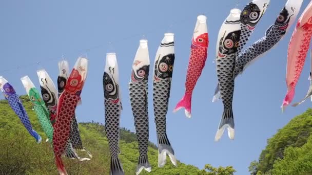 Japanse karper kite streamer — Stockvideo