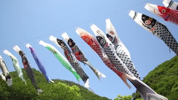 Japanese carp kite streamer — Stock Video