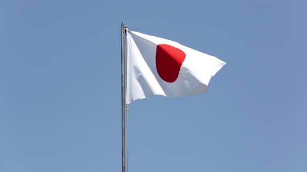 Bandera de Japón ondeando en el viento — Vídeos de Stock