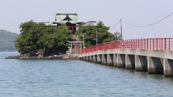 Tusima Shrine — Stockvideo