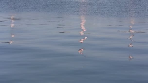 Морська вода з брижі — стокове відео