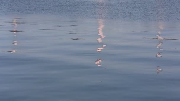 Seawater with ripples — Stock Video