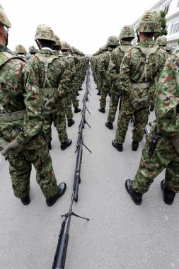 Japon ordusu geçit töreni