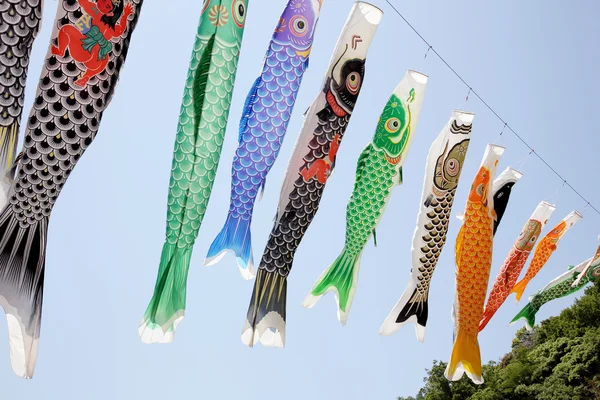 日本鯉のぼり凧 — ストック写真