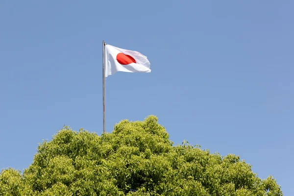 Japanese flag waving in wind — Stock Photo, Image