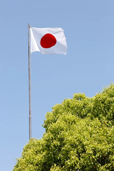 Japanese flag waving in wind — Stock Photo, Image