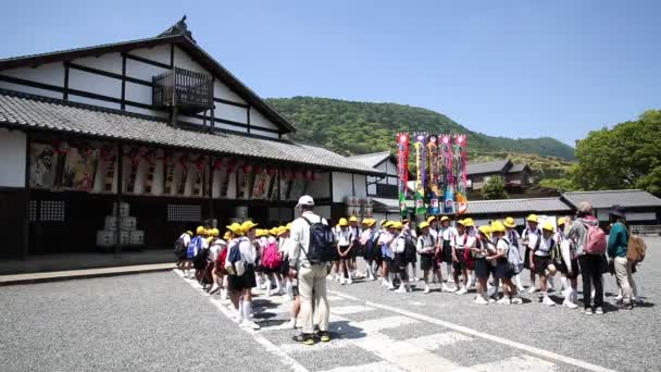 Excursion of an Japanese elementary school — Stock Video