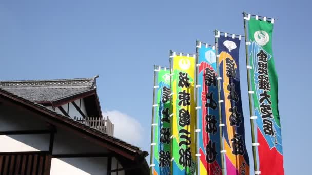 Bandera de rendimiento kabuki — Vídeos de Stock