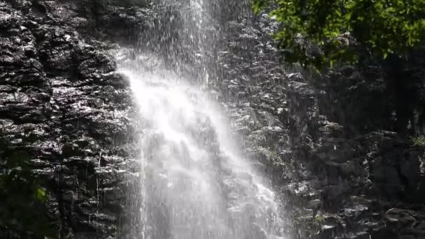 Waterfall in the forest — Stock Video