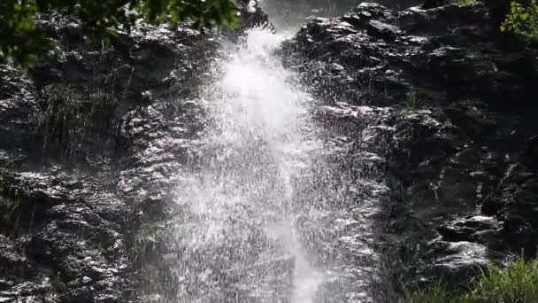 Водоспад у лісі — стокове відео