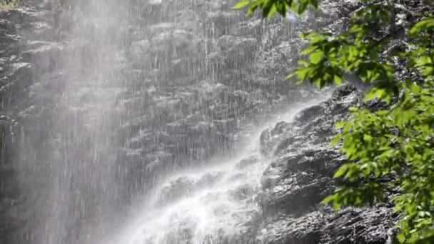 Cachoeira com folhas verdes — Vídeo de Stock