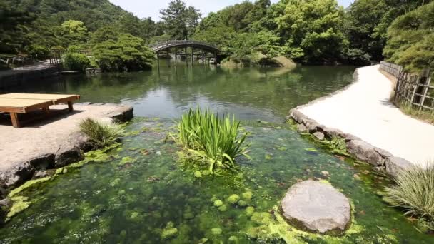 Jardín japonés — Vídeos de Stock