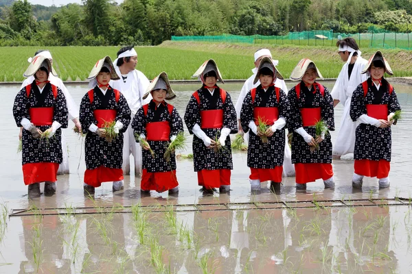 Japonais jeune fille plantation de riz — Photo