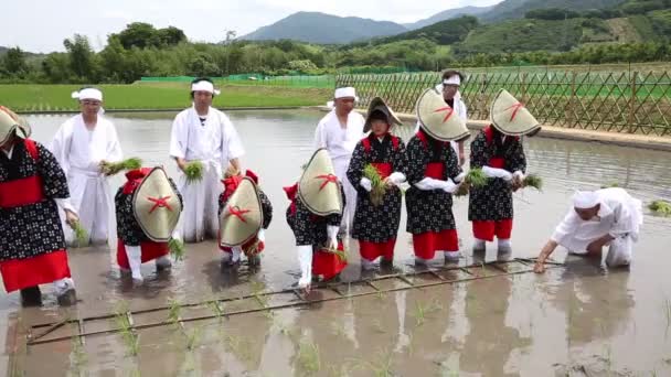 Young Japan Girls Video Young Japan Girls Video