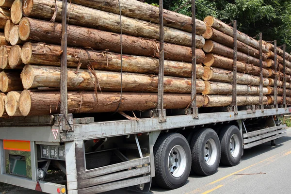 Trailer and stack of logs — Stock Photo, Image