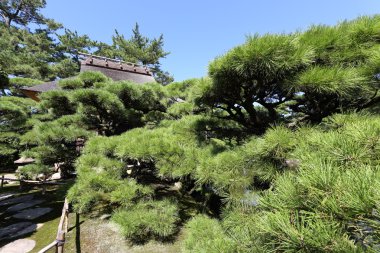 Çay evi ile Japon bahçesi