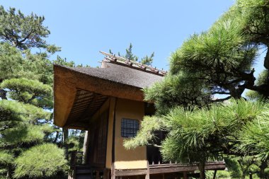 Japon çay evi