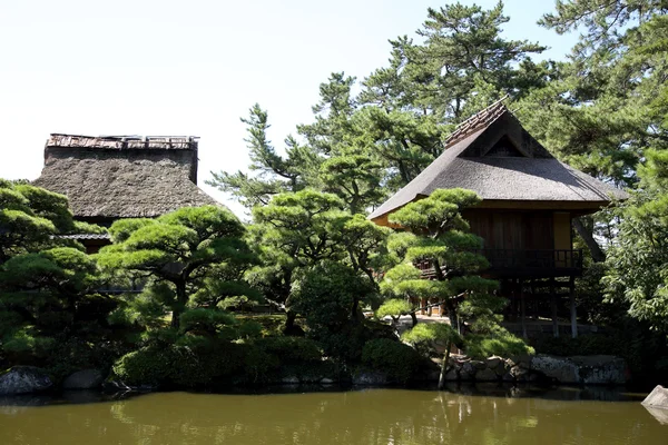 Japansk trädgård — Stockfoto