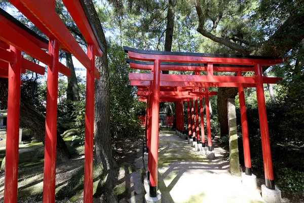 Orangefarbene torii-Tore — Stockfoto