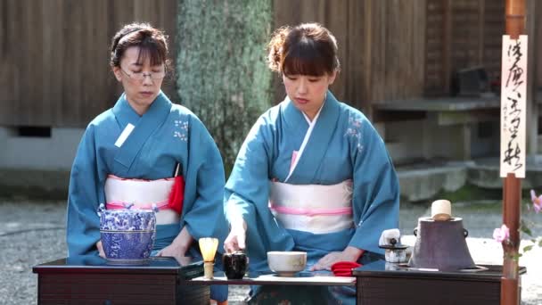 Ceremonia japonesa de té verde en el jardín — Vídeos de Stock