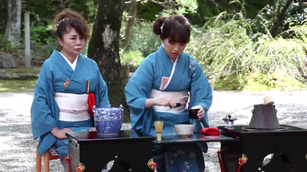 Cerimônia de chá verde japonês no jardim — Vídeo de Stock